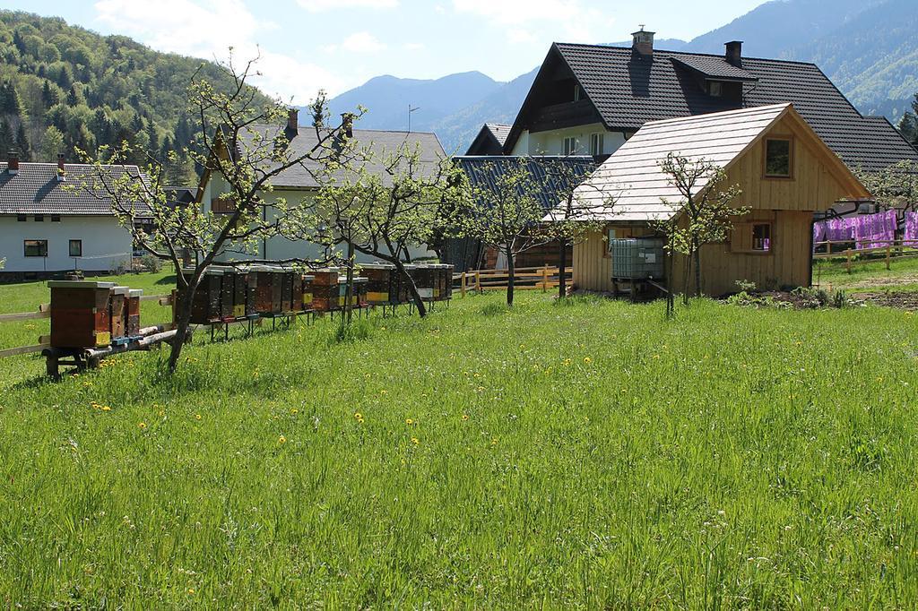 Apartments And Rooms Cerkovnik Bohinj Ngoại thất bức ảnh